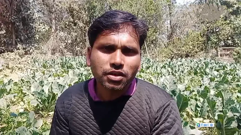 Farmer-started-cultivating-these-vegetables-changed-his-fate-profit-making-millions-today