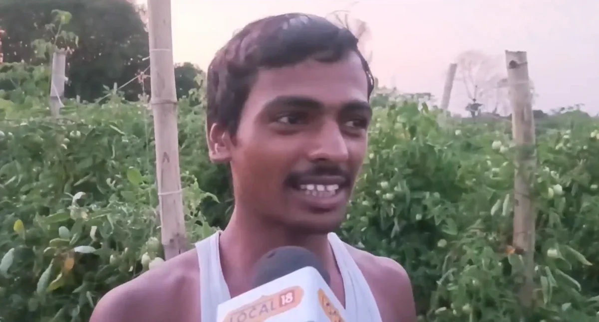 Rajesh Kumar; Purnia tomato farming transformed life