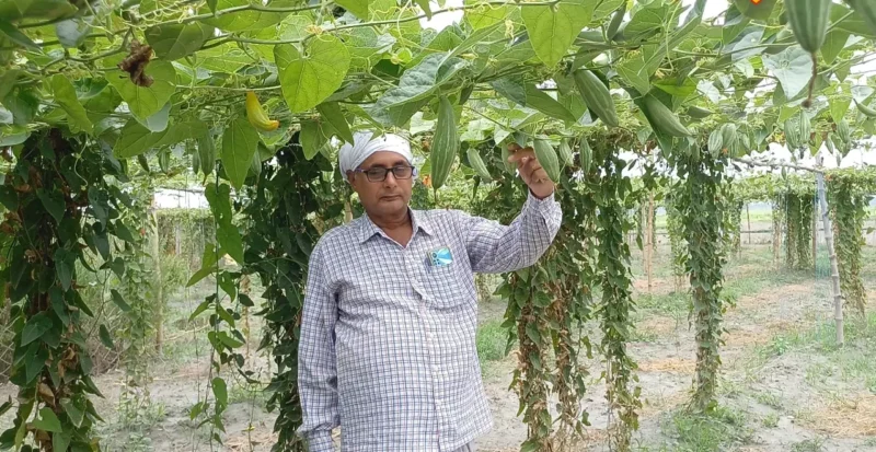 Naveen Kumar Singh