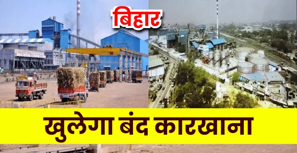 रीगा चीनी मील बिहार